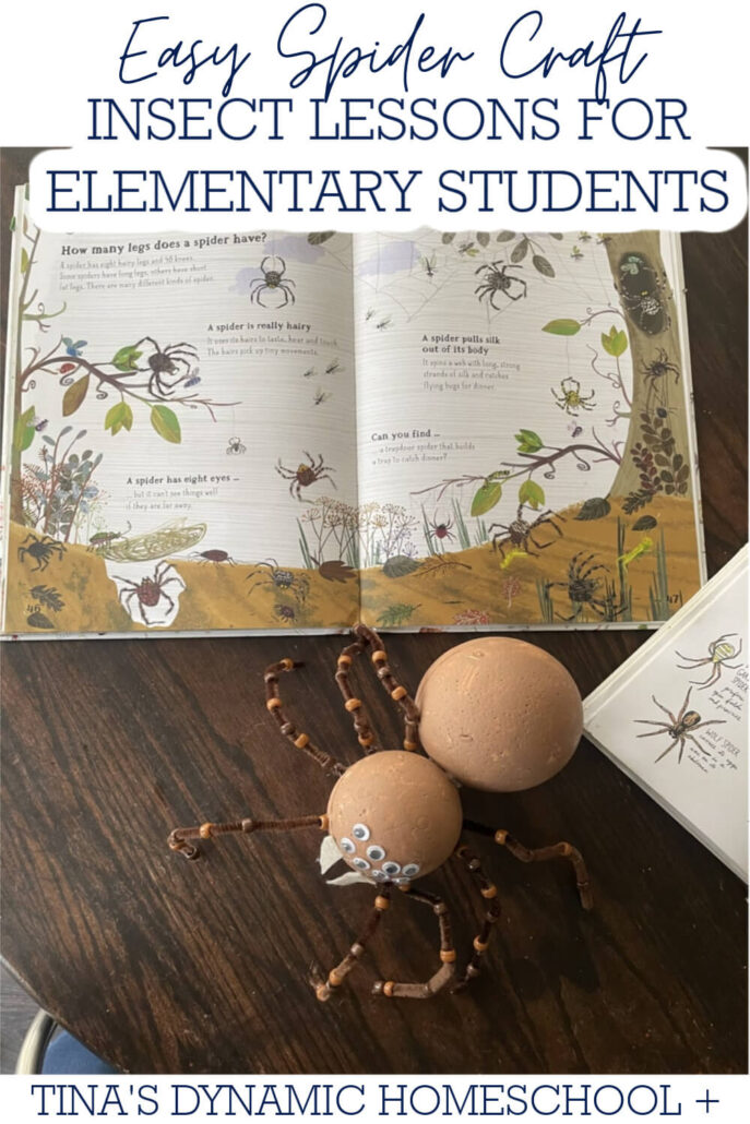 Fun And Easy Spider Craft: Insect Lessons For Elementary Students