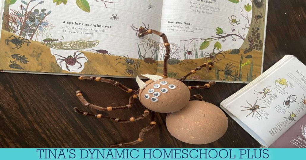 Fun And Easy Spider Craft: Insect Lessons For Elementary Students