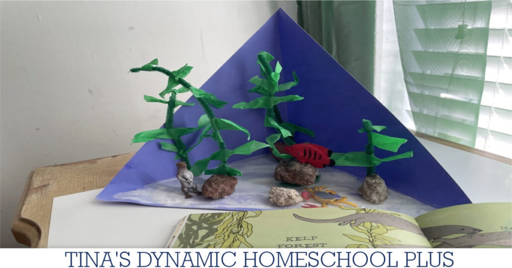 How To Build A Water Habitat Triorama With Kids