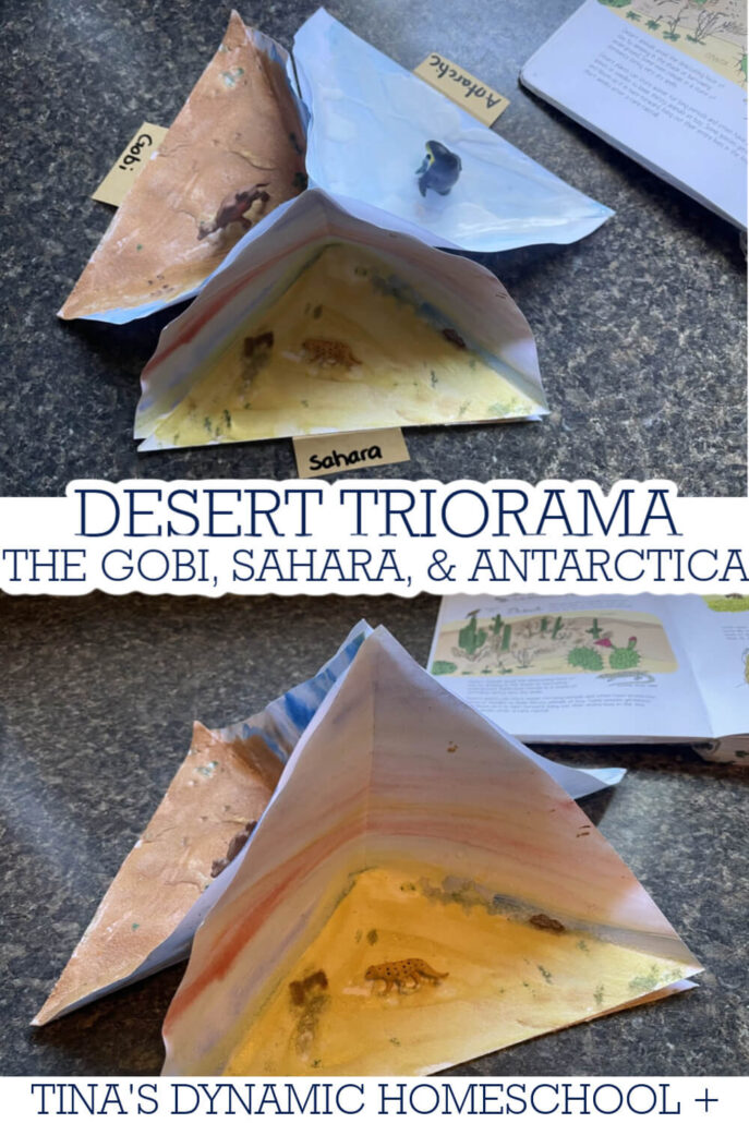 How to Make A Desert Triorama About the Gobi, Sahara, & Antarctica