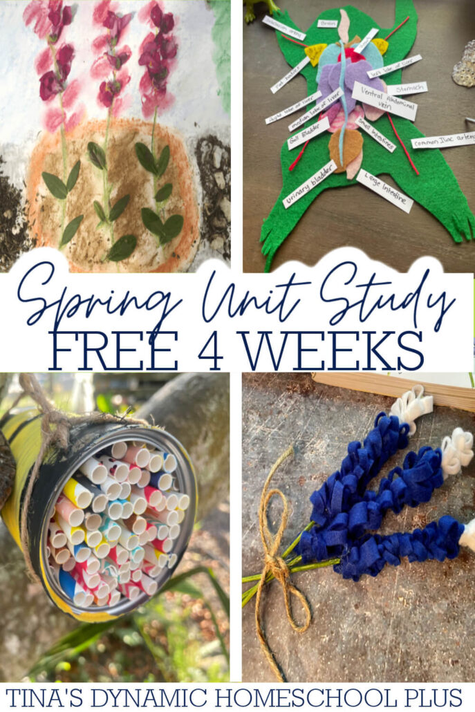 4 Weeks Free Spring Unit Study & Best Hands-on Ideas