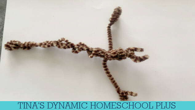 Easy Desert Animal Crafts And A Scorpion Creation