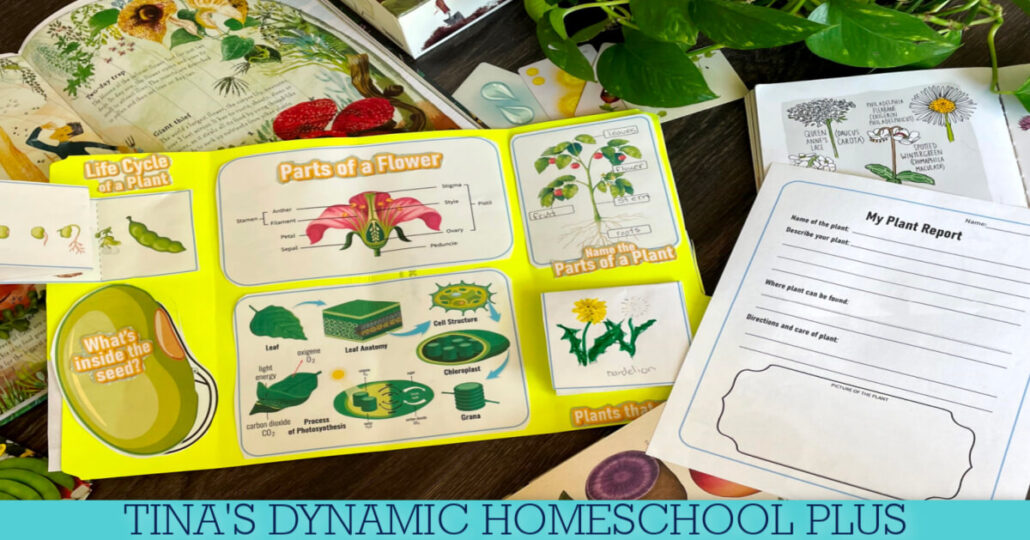 The World of Plants: The Educational Value of a Plant Lapbook