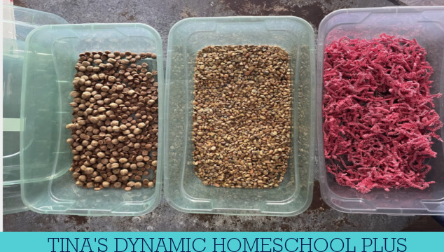 Sensory Play Made Easy: Crafting a Community Helpers Sensory Bin