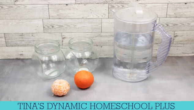 The Easy Sink Or Float Orange Density Experiment For Kids