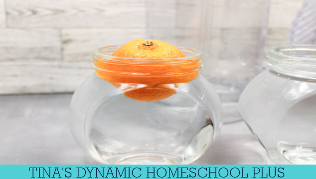 The Easy Sink Or Float Orange Density Experiment For Kids