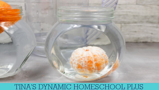 The Easy Sink Or Float Orange Density Experiment For Kids