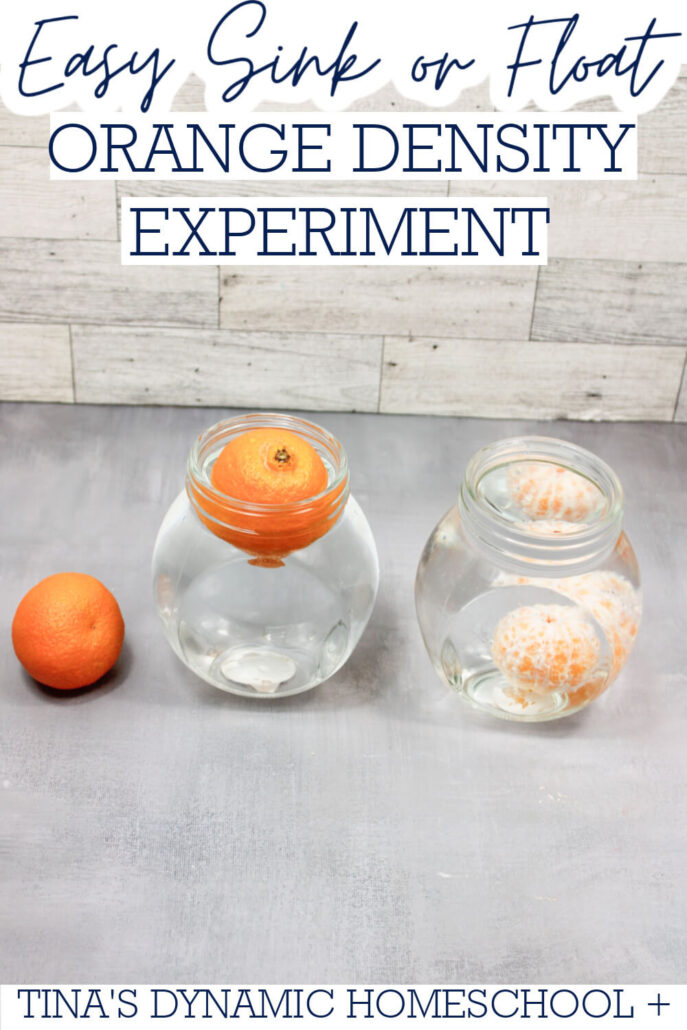 The Easy Sink Or Float Orange Density Experiment For Kids