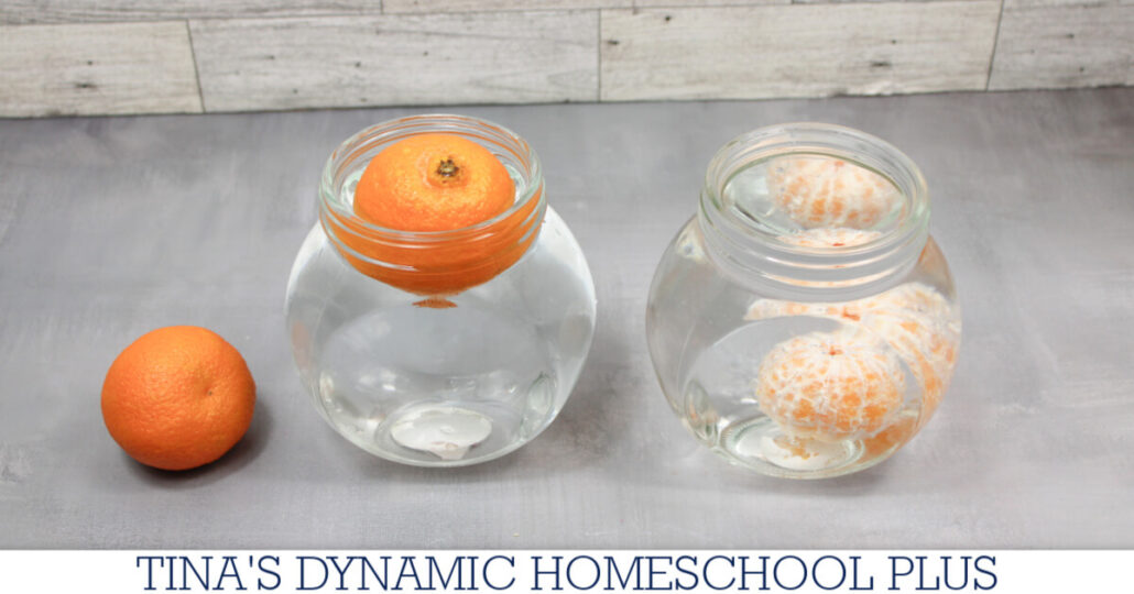 The Easy Sink Or Float Orange Density Experiment For Kids