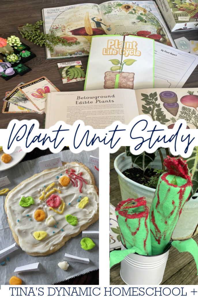 4 Weeks Free Plant Unit Study And Best Hands-On Ideas