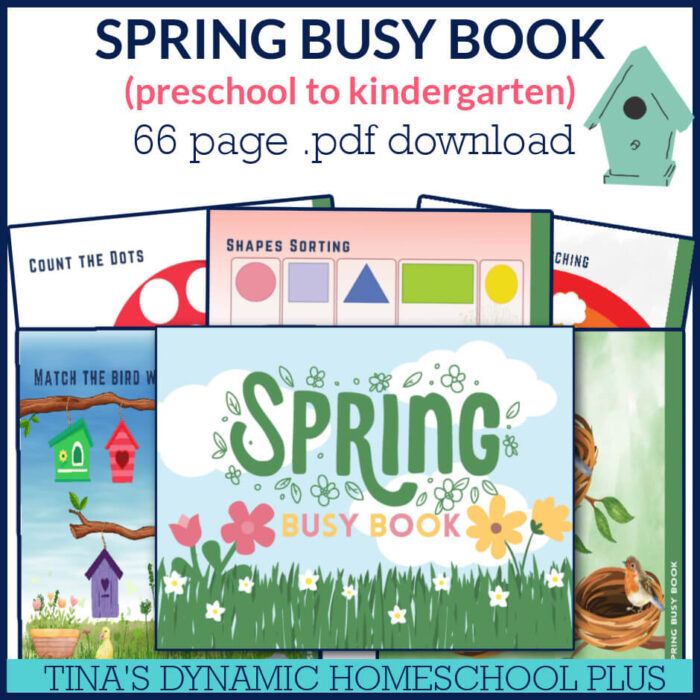 Dynamic Simple Spring Busy Book For Kids Who Love Learning