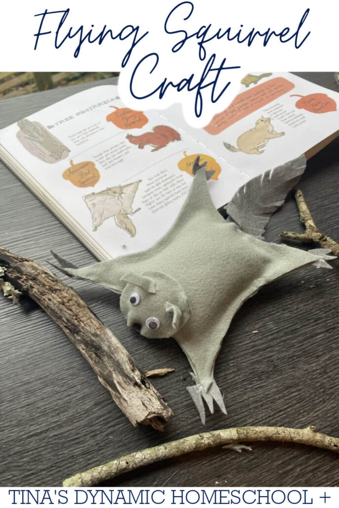 Crafting with Nature: DIY Flying Squirrel Craft You’ll Love