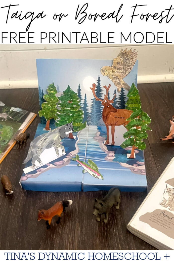 Dive Into The Taiga Biome How To Make A Taiga Biome 3d Model