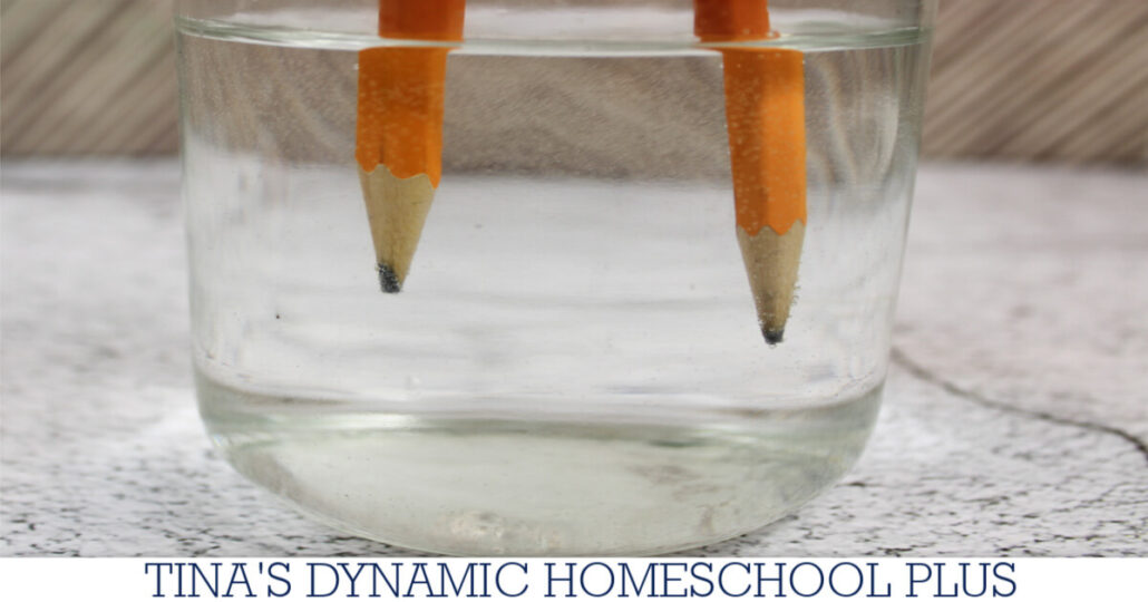 How To Do An Easy Pencil Electrolysis Activity On Electricity