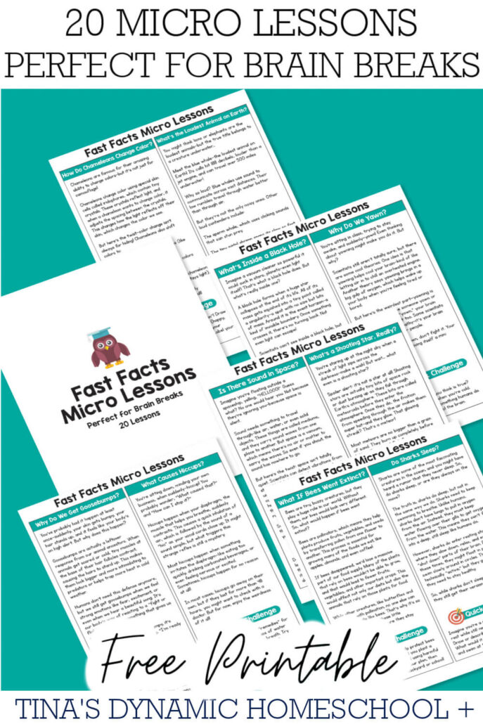 20 Brain Break Quick And Fast Facts For Kids
