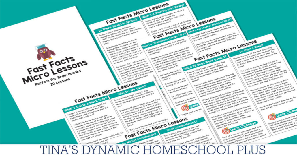 20 Brain Break Quick And Fast Facts For Kids