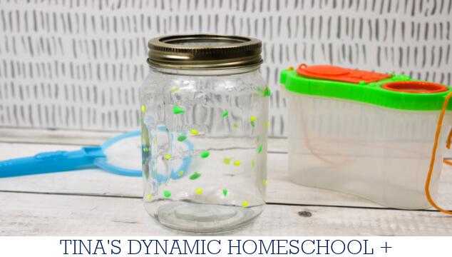 Bioluminescence For Kids: How To Make A Fun Firefly Craft