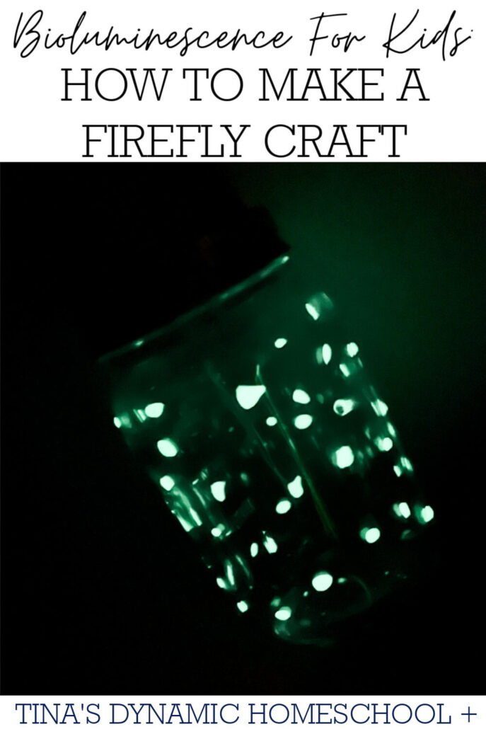 Bioluminescence For Kids: How To Make A Fun Firefly Craft