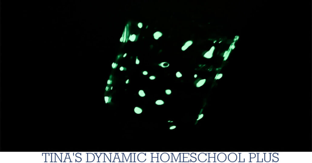 Bioluminescence For Kids: How To Make A Fun Firefly Craft