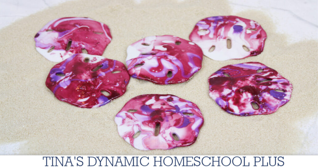 Fascinating Life Cycle Of A Sand Dollar & Hydro Dipped Craft