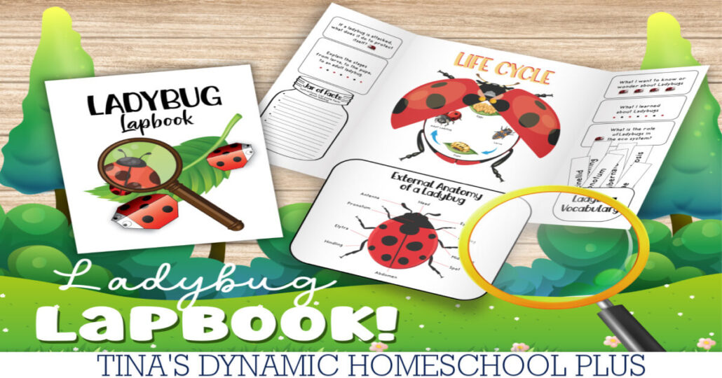 Free Ladybug Lapbook for Kids Who Love Hands-On Learning