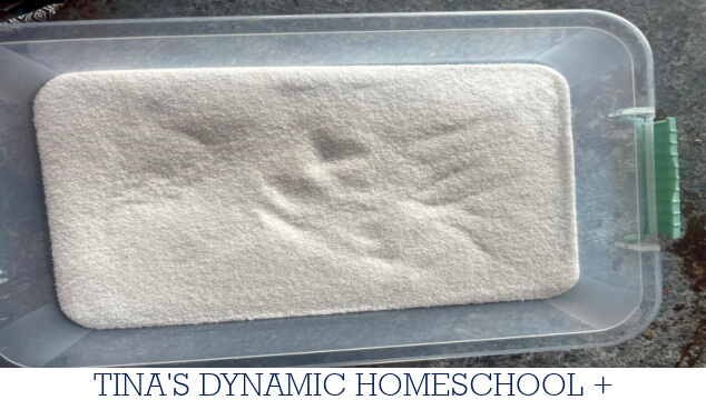 How To Create An Engaging Desert Sensory Bin For Hands-On Play