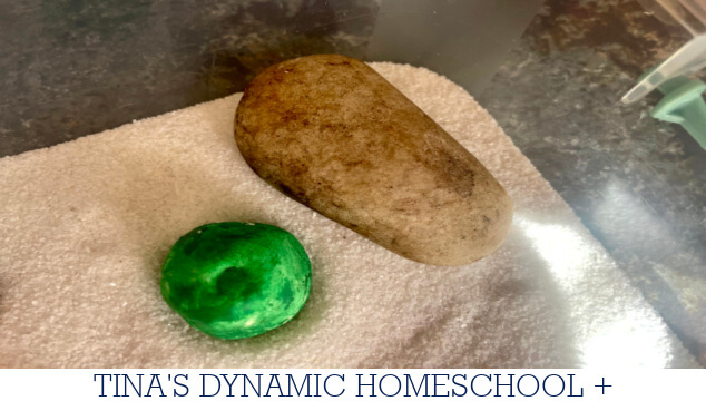 How To Create An Engaging Desert Sensory Bin For Hands-On Play