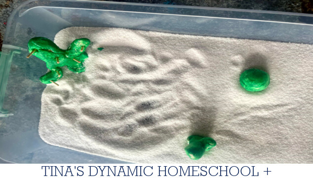How To Create An Engaging Desert Sensory Bin For Hands-On Play