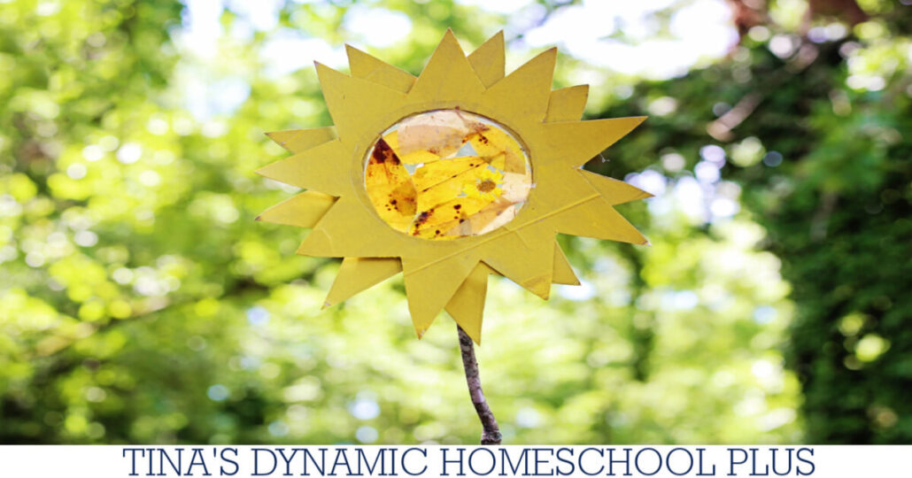 How To Make A Nature Sun Catcher Wand