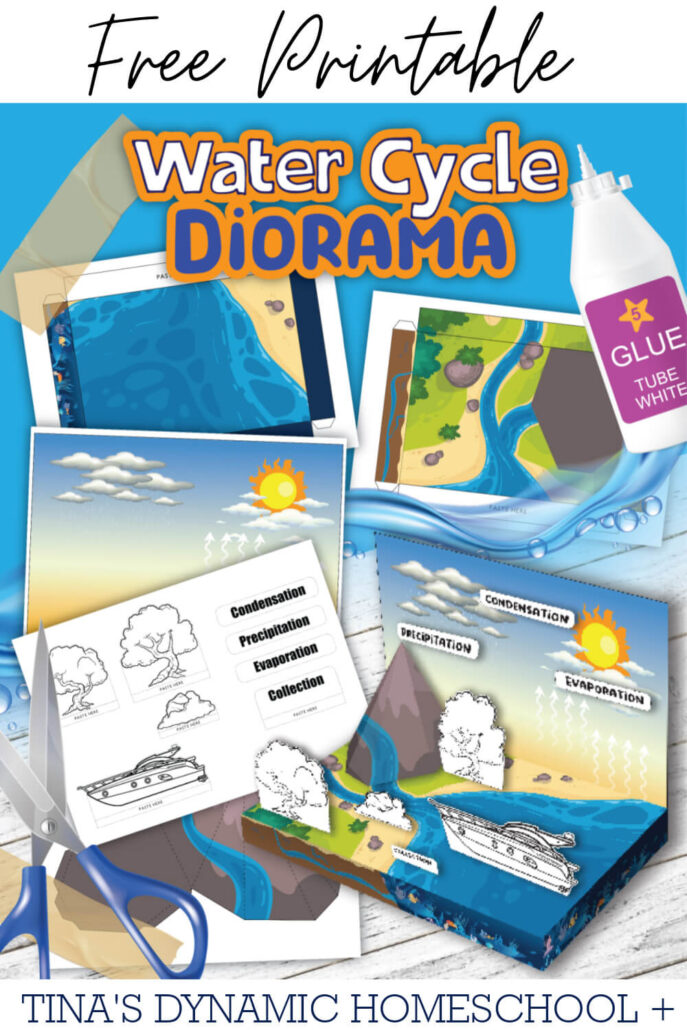 How To Make A Shoebox Water Cycle Diorama With Free Printables