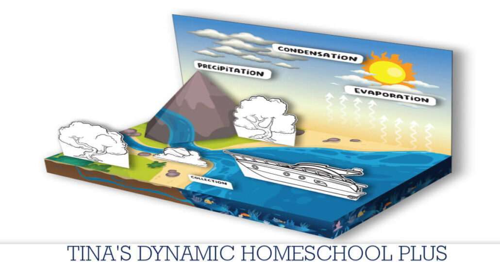 How To Make A Shoebox Water Cycle Diorama With Free Printables