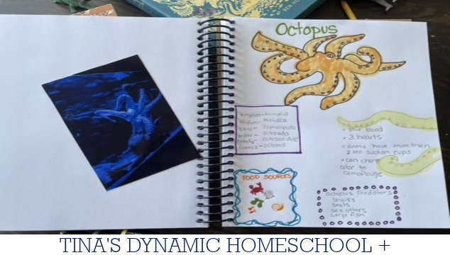 How To Use A Homeschool Notebook | Zoology Unit Study