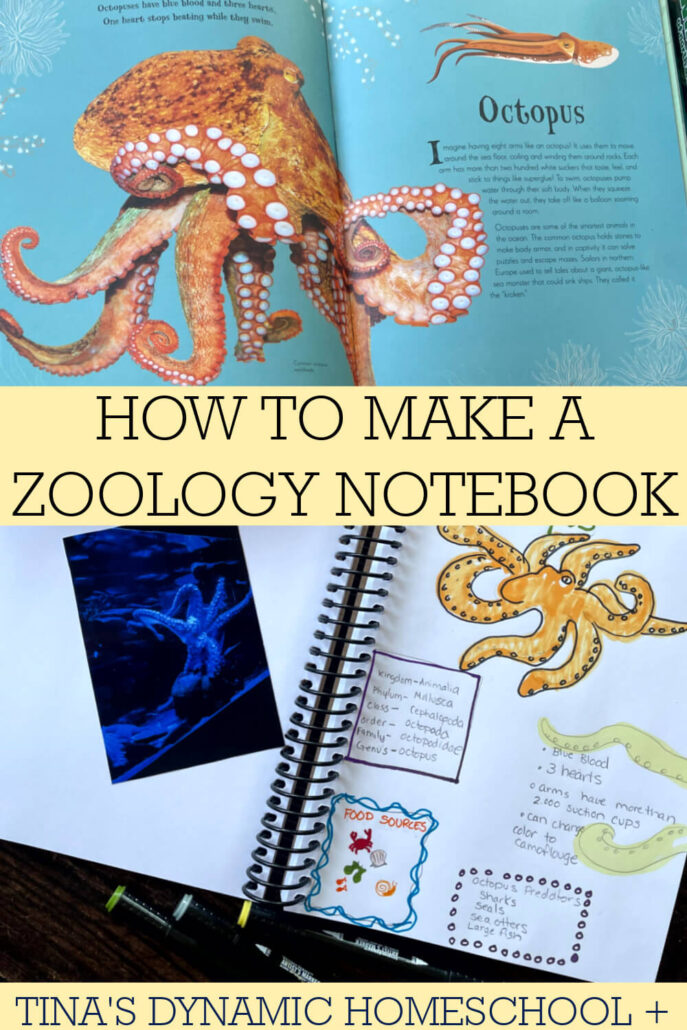How To Use A Homeschool Notebook | Zoology Unit Study