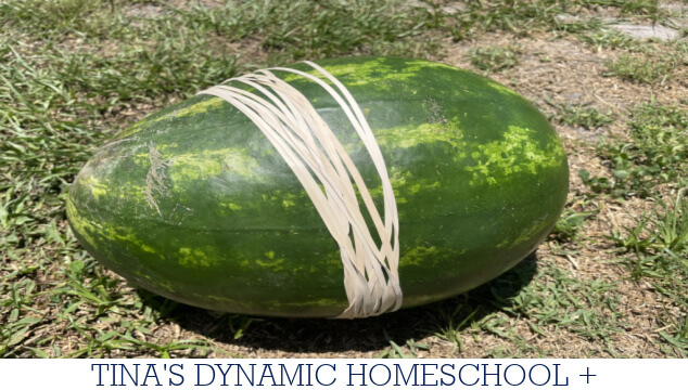 How to Conduct an Exploding Watermelon Theme Experiment
