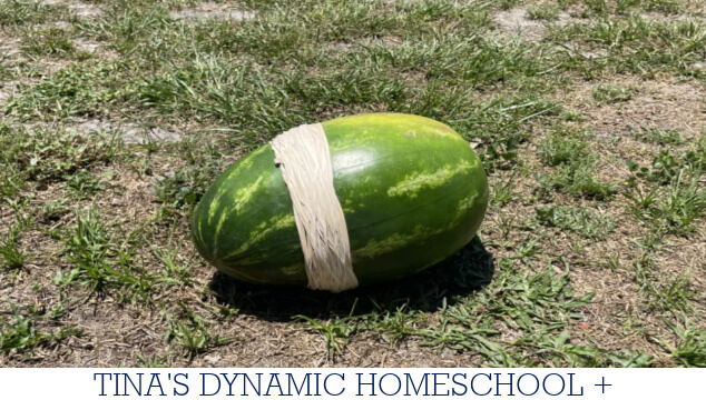 How to Conduct an Exploding Watermelon Theme Experiment