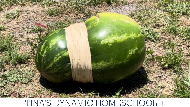 How to Conduct an Exploding Watermelon Theme Experiment