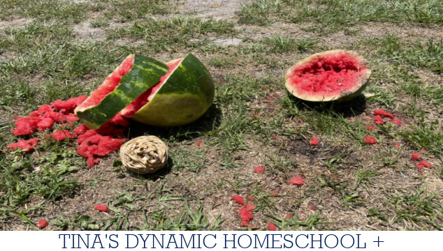 How to Conduct an Exploding Watermelon Theme Experiment
