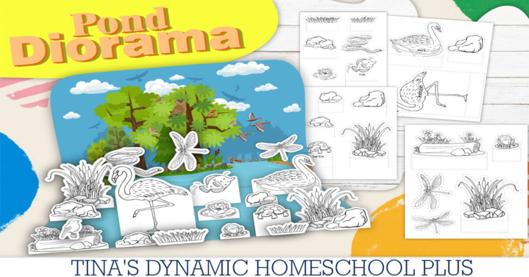 Step-by-Step: Building a Colorful Pond Diorama with Free Printables