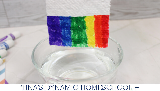Why Does A Rainbow Appear After A Drizzle | Magic Rainbow Experiment
