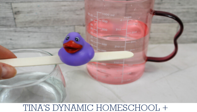 10 Fun Facts About Molecules | How To Do A Surface Tension Experiment