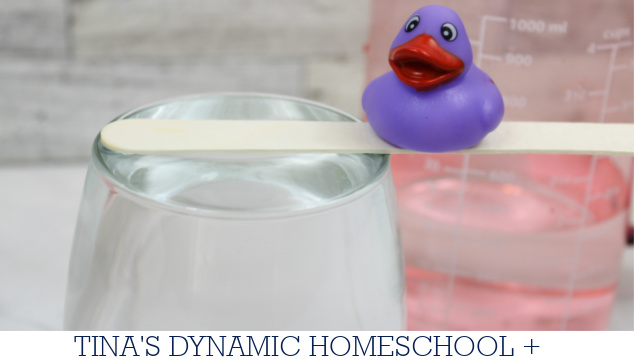 10 Fun Facts About Molecules | How To Do A Surface Tension Experiment