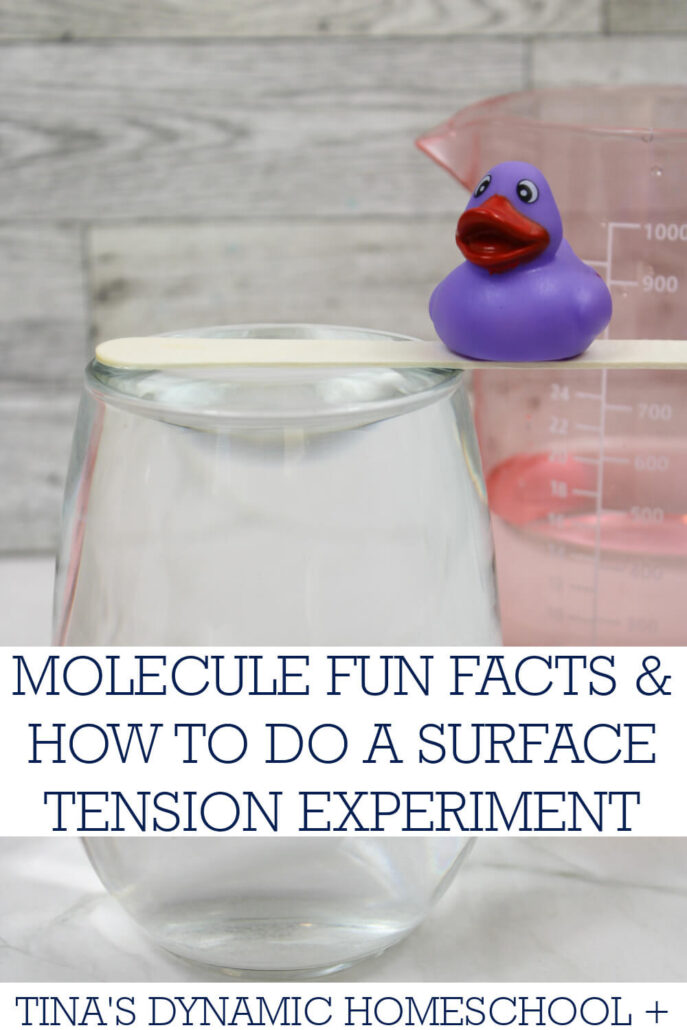 10 Fun Facts About Molecules | How To Do A Surface Tension Experiment