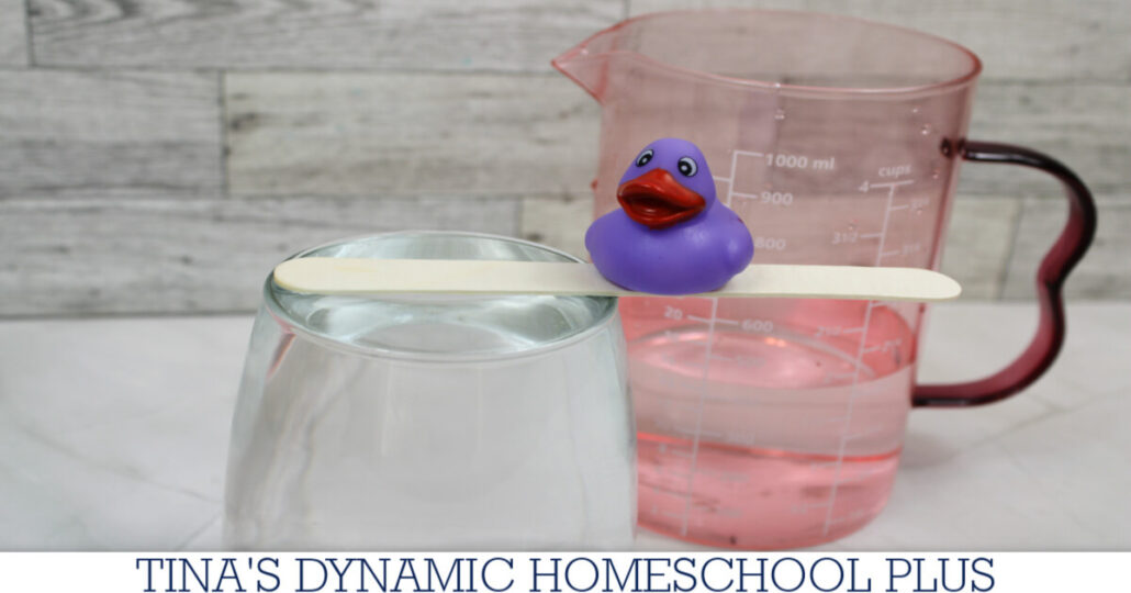10 Fun Facts About Molecules | How To Do A Surface Tension Experiment