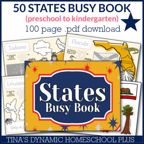 Dynamic Simple 50 States Busy Book For Kids Who Love Learning