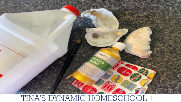Cool Facts About Mollusks | How To Create A Decoupaged Oyster Shell