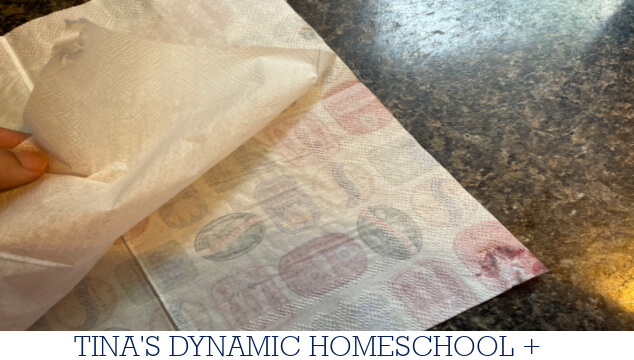 Cool Facts About Mollusks | How To Create A Decoupaged Oyster Shell