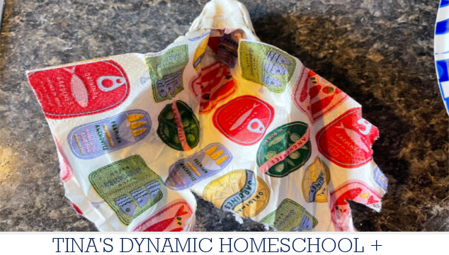 Cool Facts About Mollusks | How To Create A Decoupaged Oyster Shell