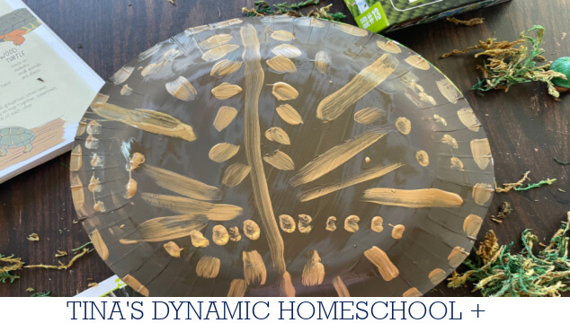 Fascinating Reptiles That Start with the Letter D | Turtle Craft
