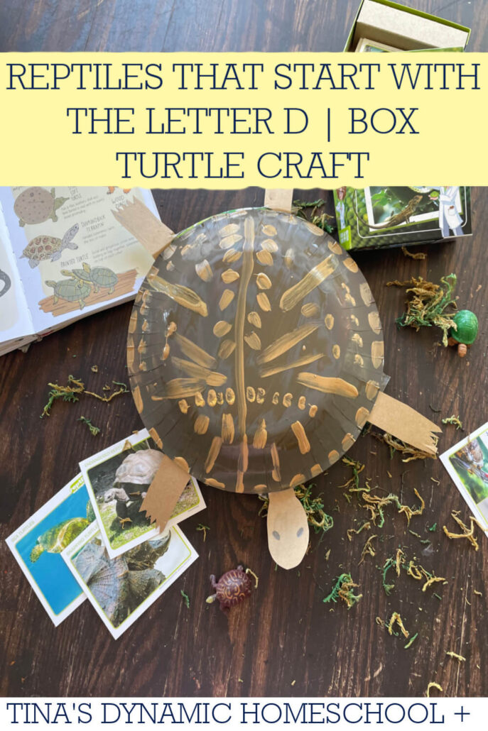Fascinating Reptiles That Start with the Letter D | Turtle Craft