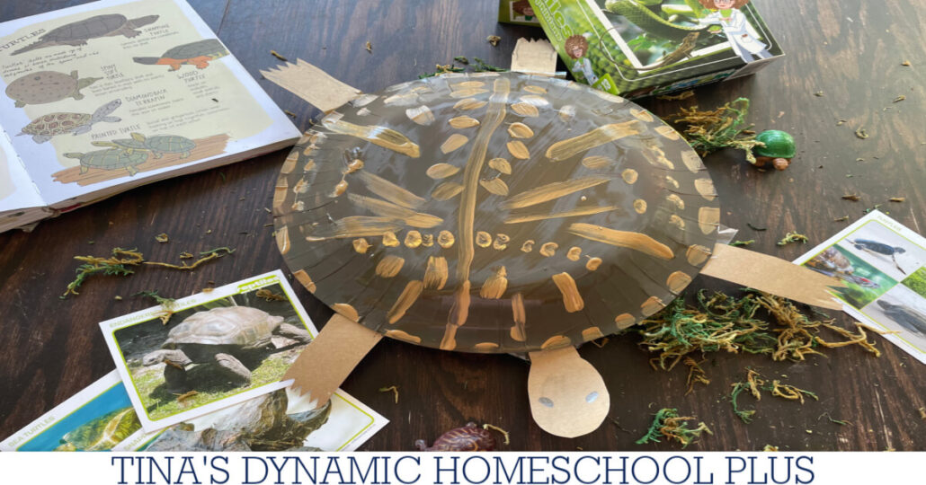Fascinating Reptiles That Start with the Letter D | Turtle Craft